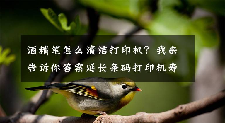 酒精笔怎么清洁打印机？我来告诉你答案延长条码打印机寿命的十种有效方法