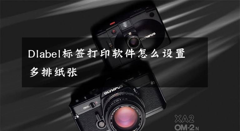 Dlabel标签打印软件怎么设置多排纸张