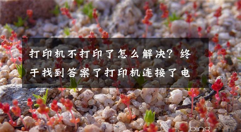 打印机不打印了怎么解决?终于找到答案了打印机连接了电脑不能打印怎么办?