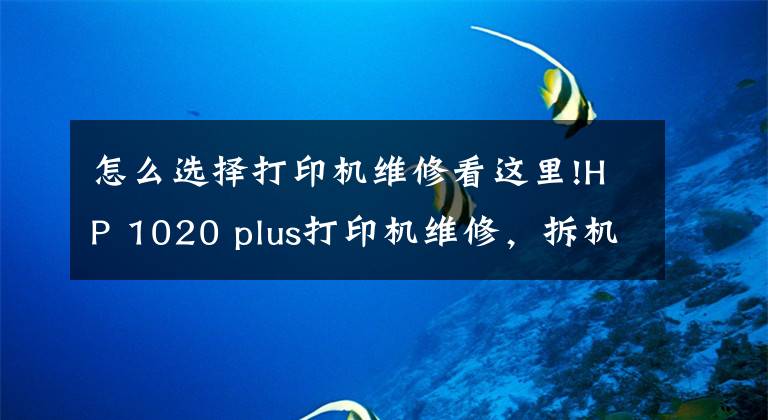 怎么选择打印机维修看这里!HP 1020 plus打印机维修，拆机图。新手必看