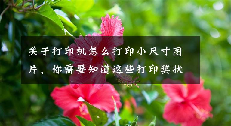 关于打印机怎么打印小尺寸图片，你需要知道这些打印奖状尺寸还不会调？这样打印不再为孩子奖状犯愁
