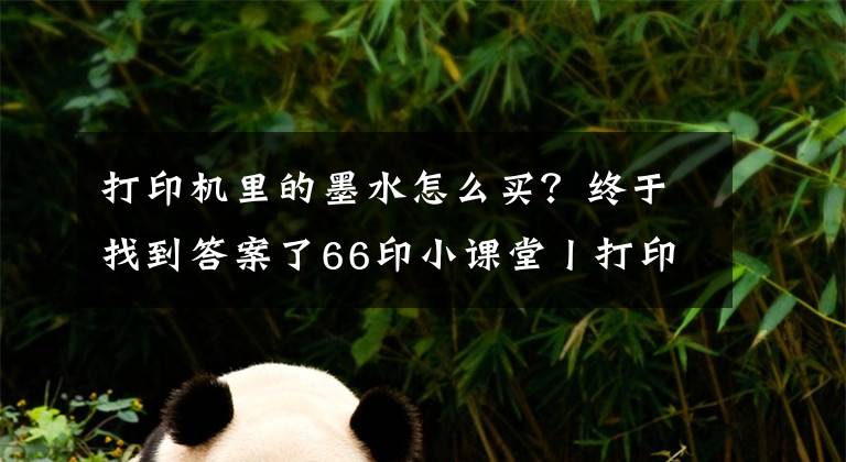 打印机里的墨水怎么买?终于找到答案了66印小课堂丨打印耗材知多少