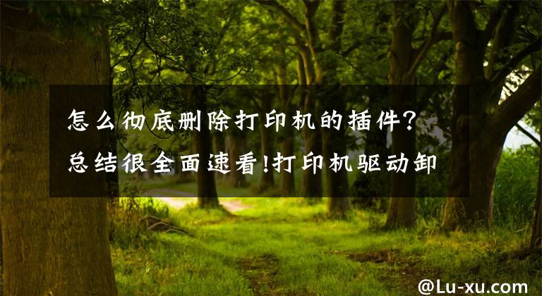 怎么彻底删除打印机的插件?总结很全面速看!打印机驱动卸载专用工具——Seagull Driver Wizard