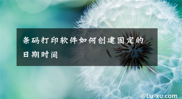 条码打印软件如何创建固定的日期时间