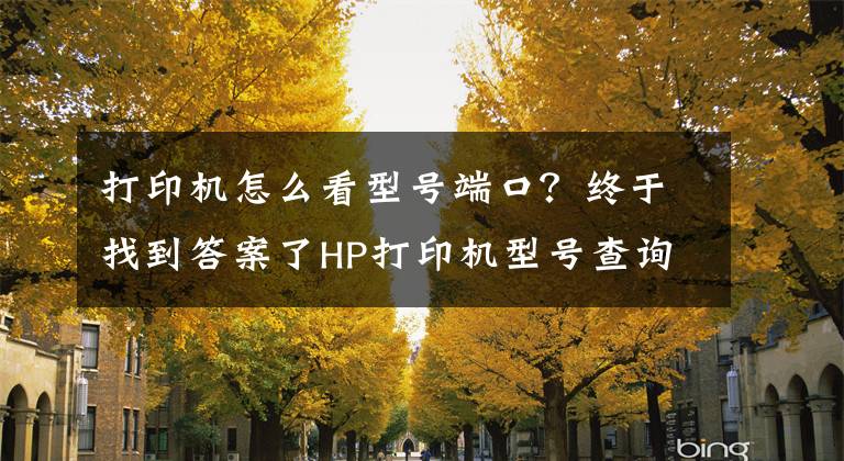 打印机怎么看型号端口？终于找到答案了HP打印机型号查询