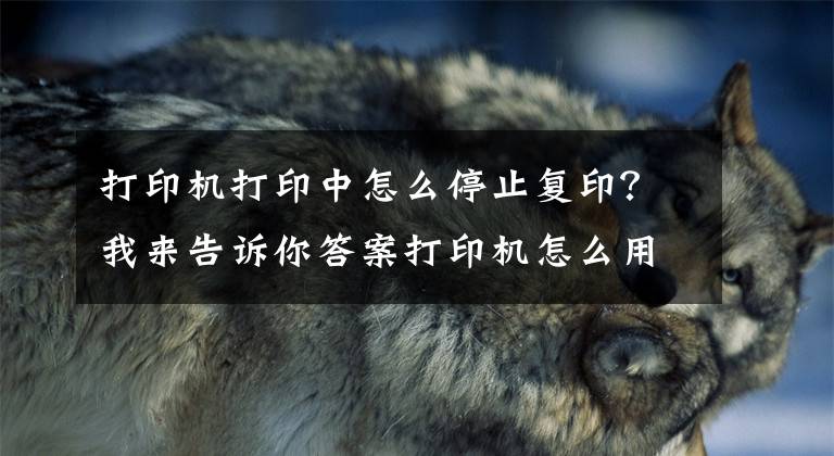 打印机打印中怎么停止复印？我来告诉你答案打印机怎么用图文详解