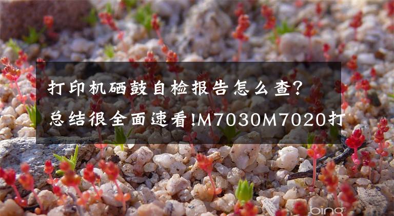 打印机硒鼓自检报告怎么查？总结很全面速看!M7030M7020打印用户配置页方法，维护模式打印自检页