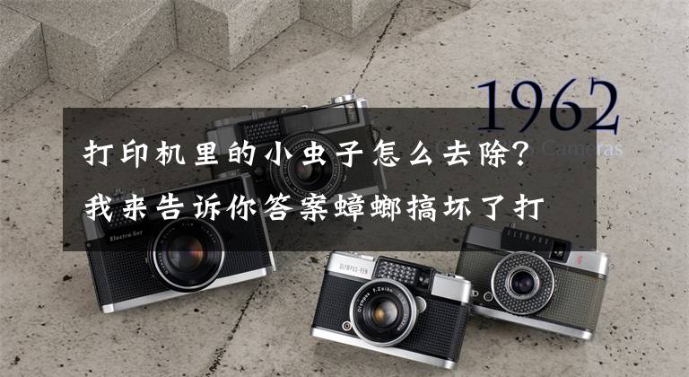 打印机里的小虫子怎么去除？我来告诉你答案蟑螂搞坏了打印机 服务站该不该提供免费维修？