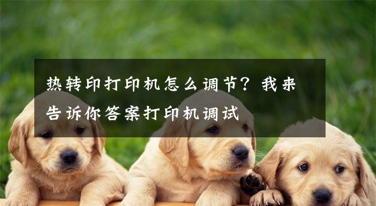 热转印打印机怎么调节?我来告诉你答案打印机调试