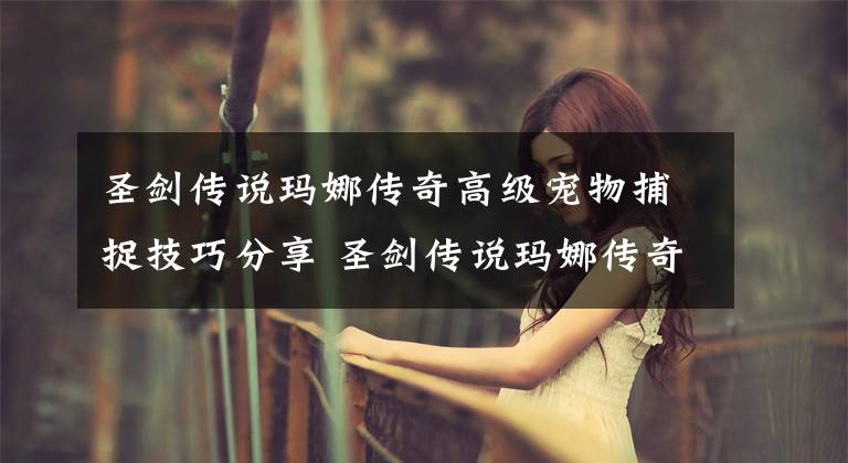 圣剑传说玛娜传奇高级宠物捕捉技巧分享 圣剑传说玛娜传奇宠物怎么捉