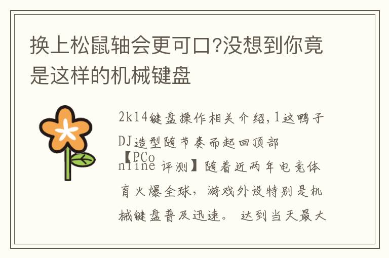 换上松鼠轴会更可口?没想到你竟是这样的机械键盘