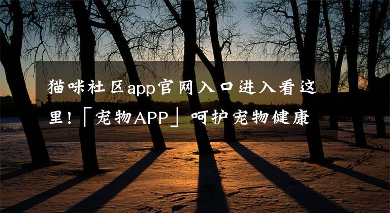 猫咪社区app官网入口进入看这里!「宠物APP」呵护宠物健康生活