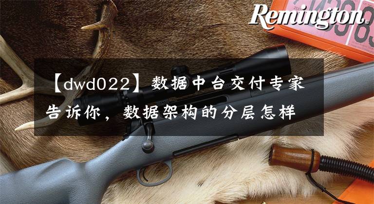 【dwd022】数据中台交付专家告诉你，数据架构的分层怎样更加合理？