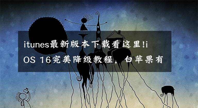 itunes最新版本下载看这里!iOS 16完美降级教程,白苹果有救了