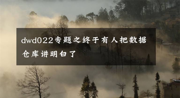 dwd022专题之终于有人把数据仓库讲明白了