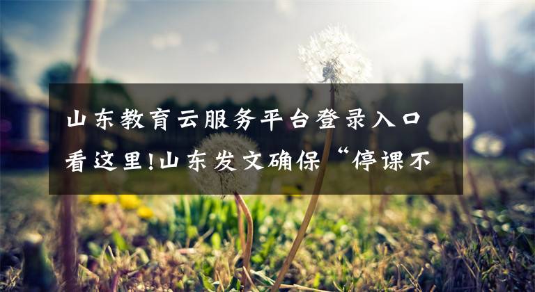 山东教育云服务平台登录入口看这里!山东发文确保“停课不停学”