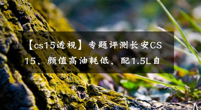 【cs15透视】专题评测长安CS15,颜值高油耗低,配1.5L自吸引擎,操控性不错