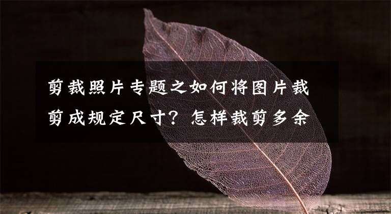 剪裁照片专题之如何将图片裁剪成规定尺寸？怎样裁剪多余画面尺寸？