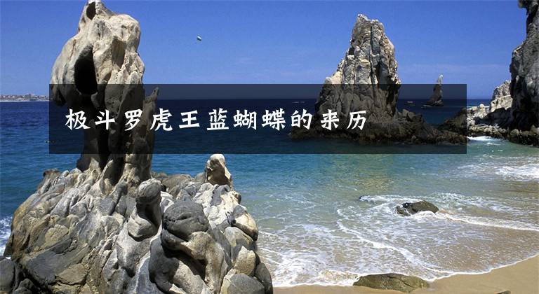 极斗罗虎王蓝蝴蝶的来历