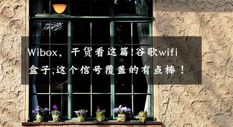 Wibox，干货看这篇!谷歌wifi盒子,这个信号覆盖的有点棒！