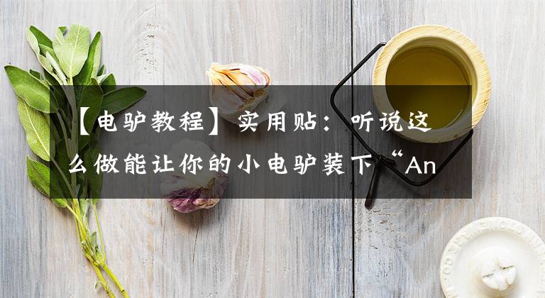 【电驴教程】实用贴：听说这么做能让你的小电驴装下“Anything”