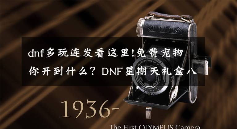 dnf多玩连发看这里!免费宠物你开到什么?DNF星期天礼盒八连发!