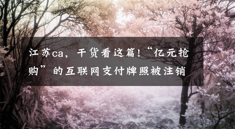 江苏ca，干货看这篇!“亿元抢购”的互联网支付牌照被注销，是何原因？