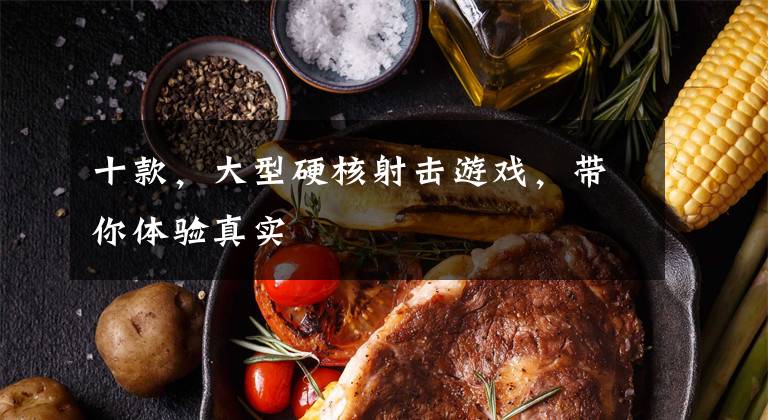 十款,大型硬核射击游戏,带你体验真实