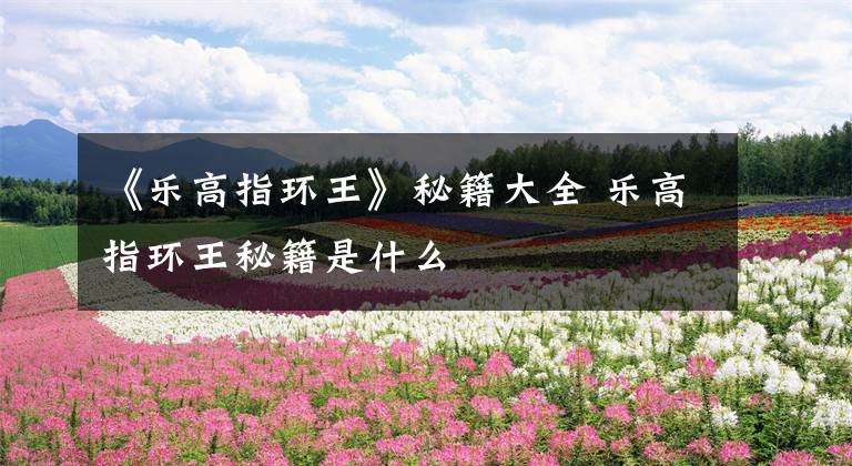 《乐高指环王》秘籍大全 乐高指环王秘籍是什么