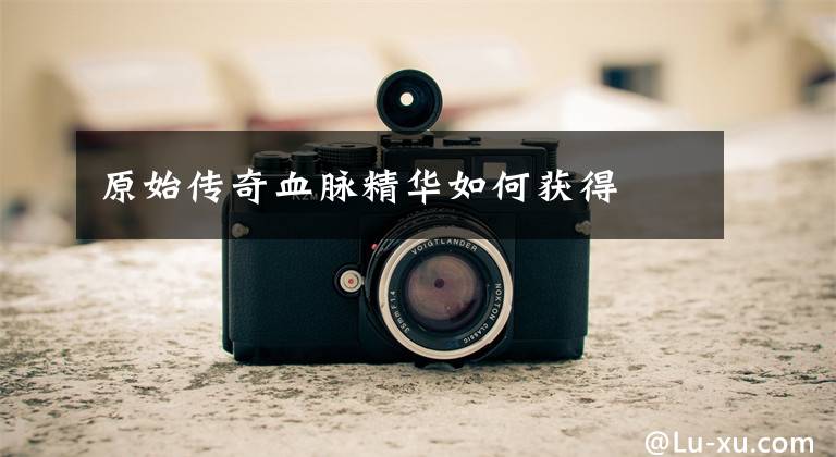 原始传奇血脉精华如何获得