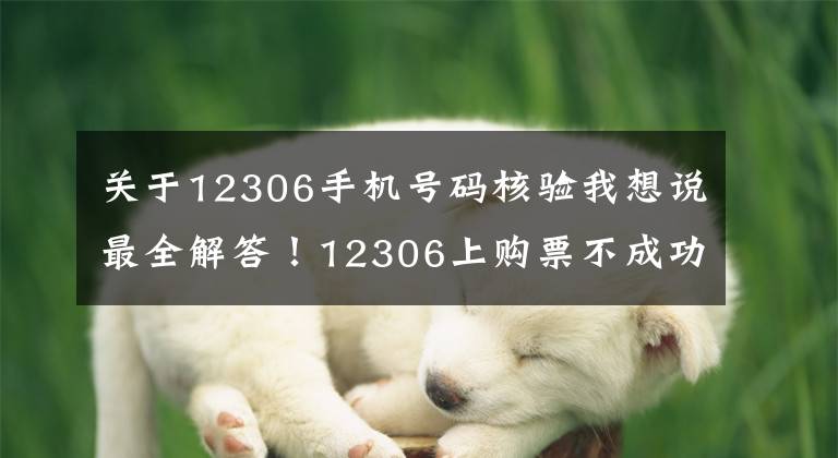 关于12306手机号码核验我想说最全解答！12306上购票不成功？无法帮别人买票？手把手教你操作