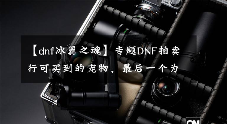 【dnf冰翼之魂】专题DNF拍卖行可买到的宠物,最后一个为国宝级宠物
