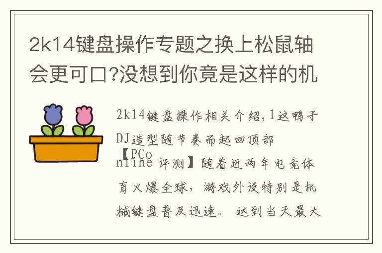 2k14键盘操作专题之换上松鼠轴会更可口?没想到你竟是这样的机械键盘