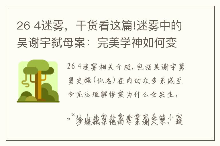 26 4迷雾,干货看这篇!迷雾中的吴谢宇弑母案:完美学神如何变为弑母魔鬼?