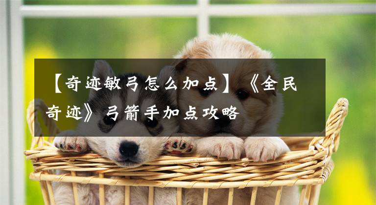 【奇迹敏弓怎么加点】《全民奇迹》弓箭手加点攻略