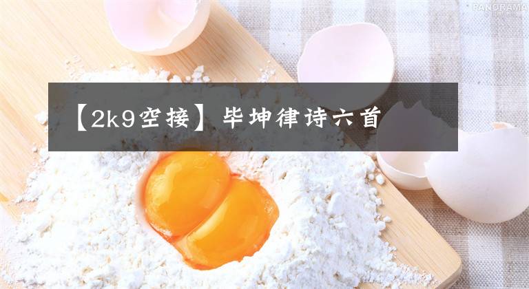 【2k9空接】毕坤律诗六首