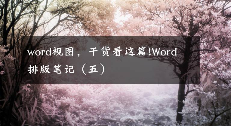 word视图，干货看这篇!Word 排版笔记（五）