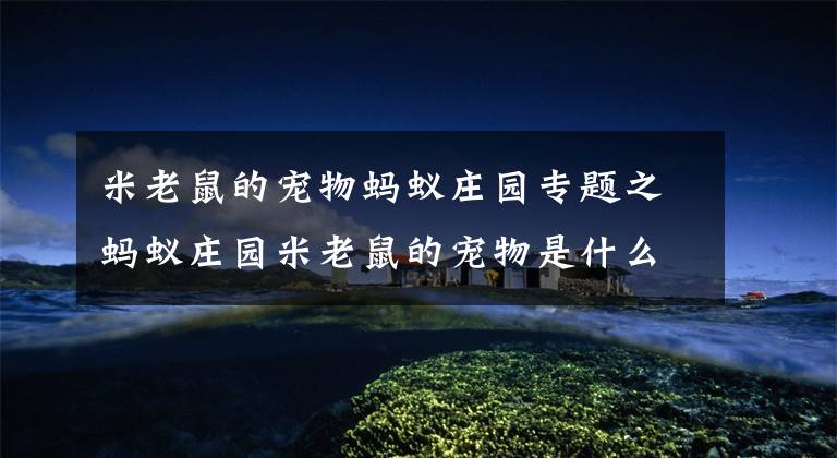 米老鼠的宠物蚂蚁庄园专题之蚂蚁庄园米老鼠的宠物是什么？支付宝蚂蚁庄园今日答案6.2最新