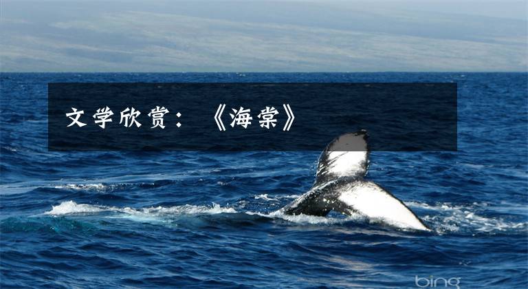 文学欣赏:《海棠》