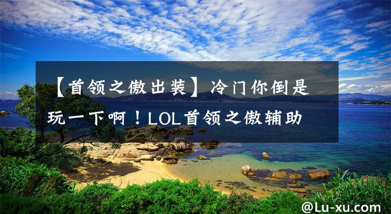 【首领之傲出装】冷门你倒是玩一下啊！LOL首领之傲辅助