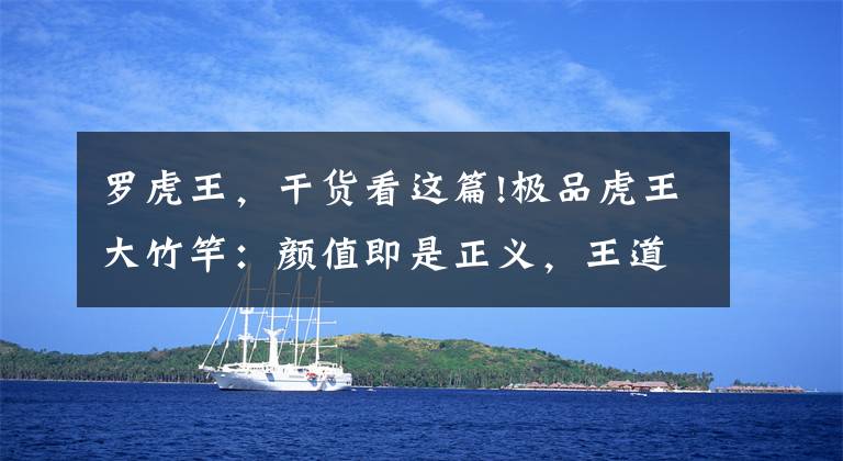 罗虎王，干货看这篇!极品虎王大竹竿：颜值即是正义，王道霸气才能拯救票房