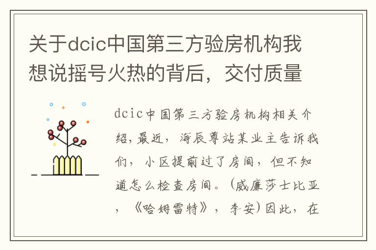 关于dcic中国第三方验房机构我想说摇号火热的背后,交付质量如何?东海某盘验房报告来了