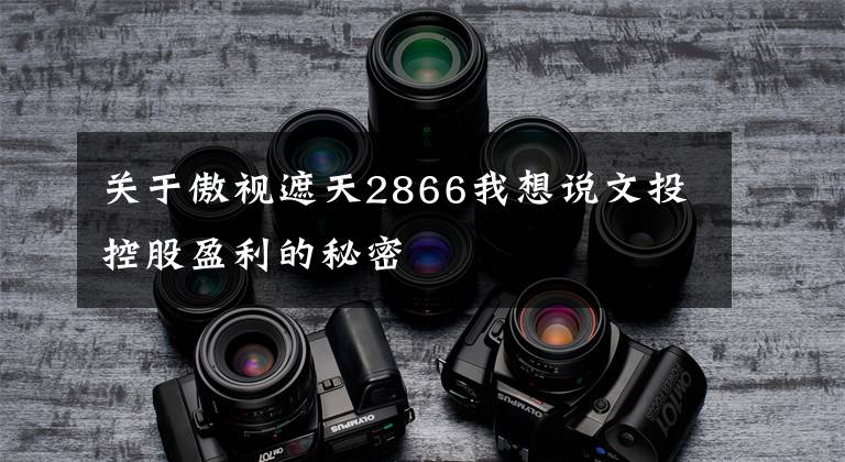 关于傲视遮天2866我想说文投控股盈利的秘密