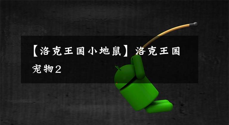 【洛克王国小地鼠】洛克王国 宠物2