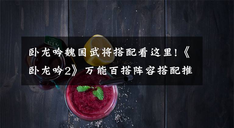 卧龙吟魏国武将搭配看这里!《卧龙吟2》万能百搭阵容搭配推荐