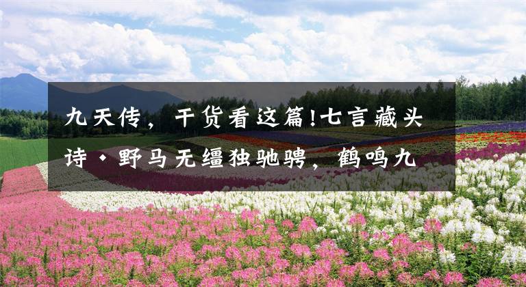 九天传,干货看这篇!七言藏头诗·野马无缰独驰骋,鹤鸣九天传碧霄