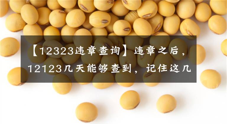 【12323违章查询】违章之后,12123几天能够查到,记住这几个时间点