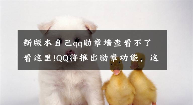 新版本自己qq勋章墙查看不了看这里!QQ将推出勋章功能，这下你还在乎QQ的等级吗？