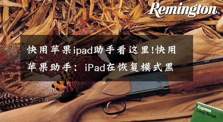 快用苹果ipad助手看这里!快用苹果助手：iPad在恢复模式黑屏了怎么办