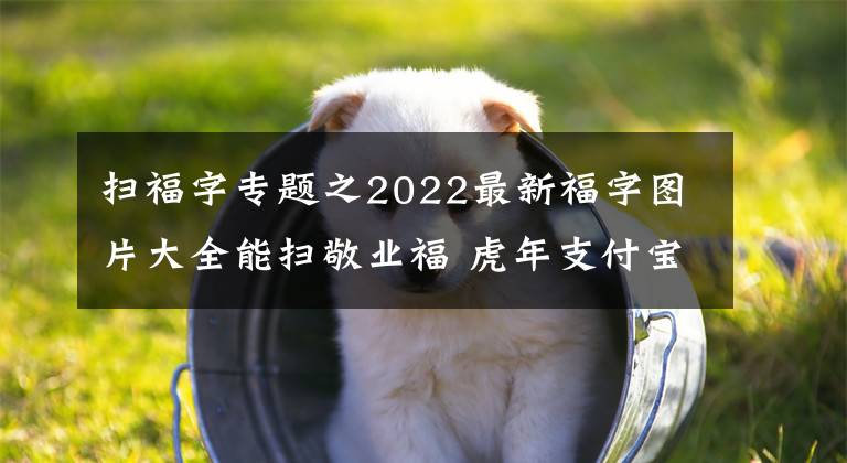 扫福字专题之2022最新福字图片大全能扫敬业福 虎年支付宝能扫出福字图片原图